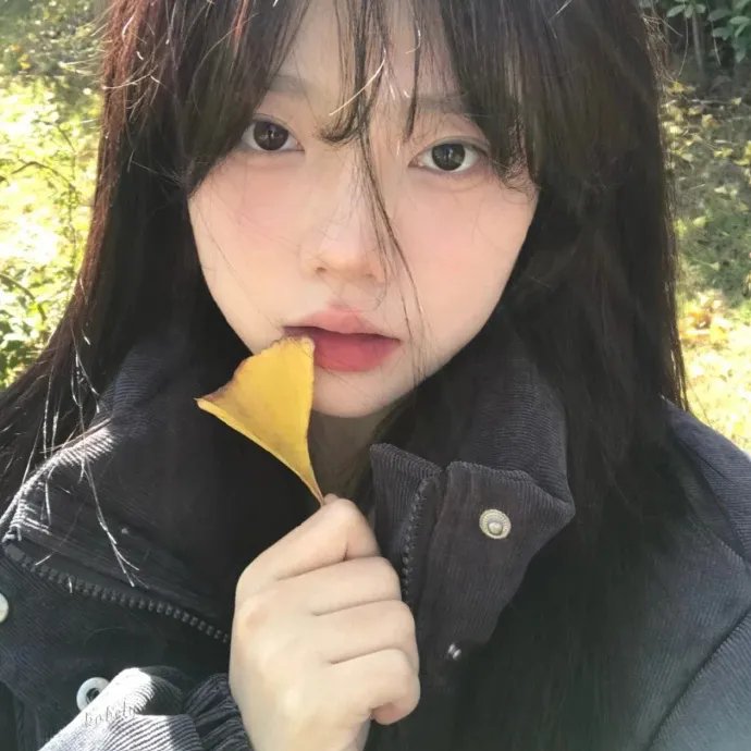 青春无季