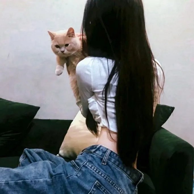 拿着手术刀的猎人